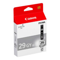 Canon PGI29 Gris Cartucho de Tinta Original - 4871B001