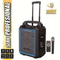 Coolsound Pro 300 Altavoz Autoamplificado Bluetooth 300W 10" 80W RMS con Bateria - USB