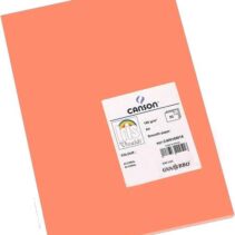 Canson Guarro Pack de 50 Cartulinas Iris A4 de 185g - 21x29.7cm - Color Coral