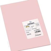 Canson Guarro Pack de 50 Cartulinas Iris A4 de 185g - 21x29.7cm - Color Rosa