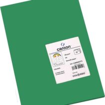 Canson Guarro Pack de 50 Cartulinas Iris A4 de 185g - 21x29.7cm - Color Verde Abeto