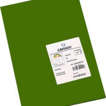 Canson Guarro Pack de 50 Cartulinas Iris A4 de 185g - 21x29.7cm - Color Verde Safari