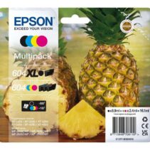 Epson 604XL/604 Pack de 4 Cartuchos de Tinta Originales - C13T10H94010