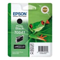 Epson T0541 Negro Photo Cartucho de Tinta Original - C13T05414010