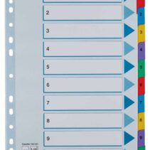 Esselte Indice de Carton con Pestañas Reforzadas - A4 - Numeradas 1-10 - Multicolor