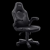 Trust GXT 703 Riye Silla Gaming - Reposabrazos - Ruedas de Nylon - Piston de Gas Clase 4 - Base Metal - Peso Max. 140Kg - Color Negro