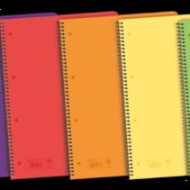 Enri Status Europeanbook A4+ Tapa de Plastico Translucido - Cuaderno con 120 Hojas - Formato 5x5 - Surtido de Colores - Ideal para Apuntes y Dibujos