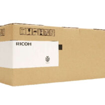 Ricoh D1773035 Negro Revelador Original - D1773035