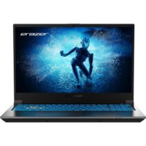 Medion Erazer Deputy P60i Portatil 15.6" Intel Core i7-12650H - 16GB / 1TB SSD - RTX 4060 - Windows 11 Home - Bluetooth