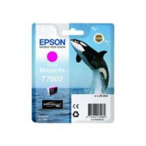 Epson T7603 Magenta Cartucho de Tinta Original - C13T76034010