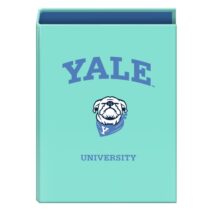 Dohe Yale Dog Carpeta de 4 Anillas Mixtas de 40mm - Formato Folio - Cubierta en Carton Forrado Plastificado