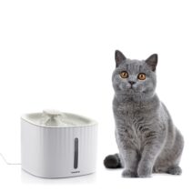 Innovagoods Drinkatt Fuente USB para Mascotas - Capacidad 3L - Silenciosa - Filtros Reutilizables - 3 Modos de Flujo - Indicador Nivel - Facil Limpieza - 19x15x19cm - Color Blanco y Gris