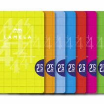 Lamela Pack de 10 Libretas Grapadas con 50 Hojas de 90g/m2 con Margen - Formato A4 - Pauta Cuadrovia de 2.5mm - Cubierta de Cartoncillo Plastificado - Papel Offset Blanco Extra - Colores Surtidos