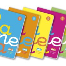 Lamela Pack de 5 Libretas Grapadas con 50 Hojas de 90g/m2 con Margen - Formato A4 - Pauta Cuadrovia de 2.5mm - Cubierta de Polipropileno Fluorescente - Papel Offset Blanco Extra - Colores Surtidos