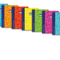 Lamela Pack de 6 Cuadernos de Espiral con 80 Hojas de 90g/m2 con Margen - Formato Cuarto - Pauta Cuadrovia de 4mm - Cubierta Extra Dura - Papel Offset Blanco Extra - Colores Surtidos