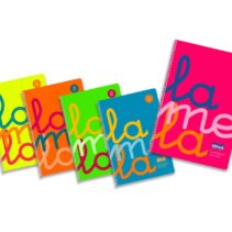 Lamela Pack de 5 Cuadernos de Espiral con 80 Hojas de 90g/m2 con Margen - Formato Folio - Pauta Cuadrovia de 2.5mm - Cubierta de Polipropileno Fluorescente - Papel Offset Blanco Extra - Colores Surtidos