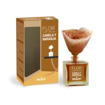 Prady Ambientador Flor Perfumada Canela y Naranja - Frasco de Cristal 90ml