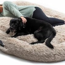 Innovagoods Cama Extragrande para Mascotas y Humanos - Bolsillo Lateral - Antideslizante - Facil Limpieza - Poliester - Ergonomico - Funda Extraible - 190x140x25cm - Color Beige