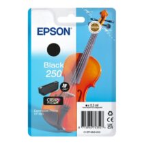 Epson 250 Negro Cartucho de Tinta Original - C13T16N14010
