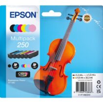 Epson 250 Pack de 6 Cartuchos de Tinta Originales - C13T16N84010