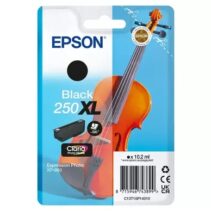 Epson 250XL Negro Cartucho de Tinta Original - C13T16P14010
