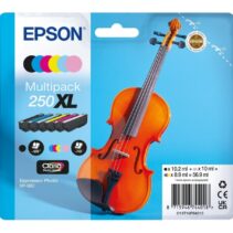 Epson 250XL Pack de 6 Cartuchos de Tinta Originales - C13T16P84010