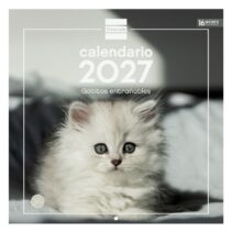 Finocam Gatitos Calendario de Pared - 16 Meses 26/27 - Mes Vista - 300x300mm - Papel de 170g/m2 - Imagenes Tematicas Surtidas - Espacio para Notas