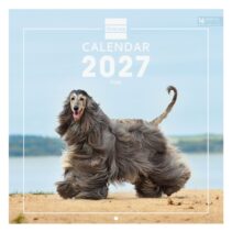 Finocam Dogs Calendario de Pared Internacional - 16 Meses 26/27 - Mes Vista - 300x300mm - Papel de 170g/m2 - Imagenes Tematicas Surtidas - Espacio para Notas - Multilenguaje