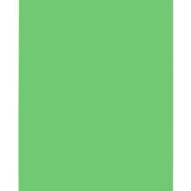 Gio By Elba Subcarpeta Simples Semi-Intensos Folio - Cartulina de 180gr - Tamaño Folio - Color Semi-Intenso - Color Verde
